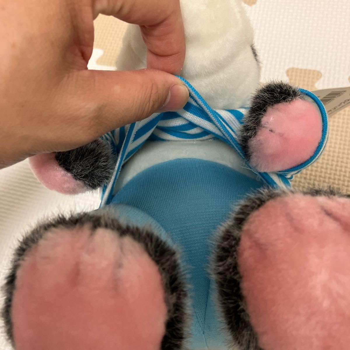 Amazon.co.jp: サンアンドスター 忘れられないおくりもの