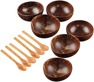 Kokosnuss-Schalen-Set handgefertigt Kokosnussschale Geschirr Holz Löffel Dessert Obst Salat Rührschüssel Reis Ramen Schüssel 12 Stück