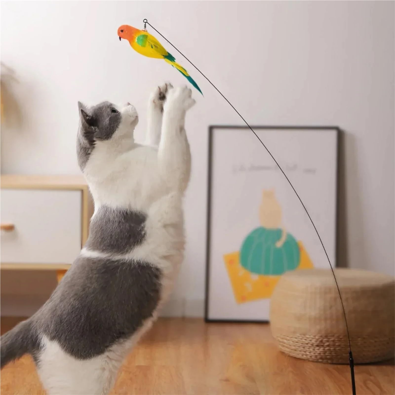 Canne a Peche Chat Jouets for Chaton, Baguette de Jeu Teaser, Fournitures for Animaux de Compagnie pour l'Ennui(Color2)