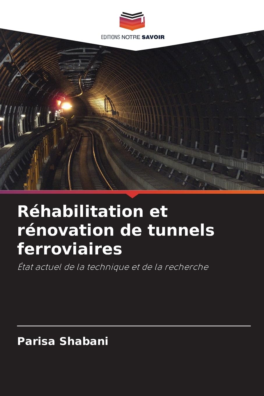 Réhabilitation et rénovation de tunnels ferroviaires: État actuel de la technique et de la recherche