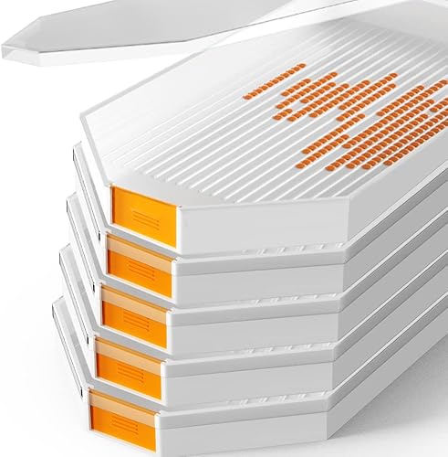 Paquete de 5 bandejas de pintura de diamantes con tapas/cubiertas, 5 bandejas de cuentas y 5 tapas, bandejas grandes de clasificación de cuentas de