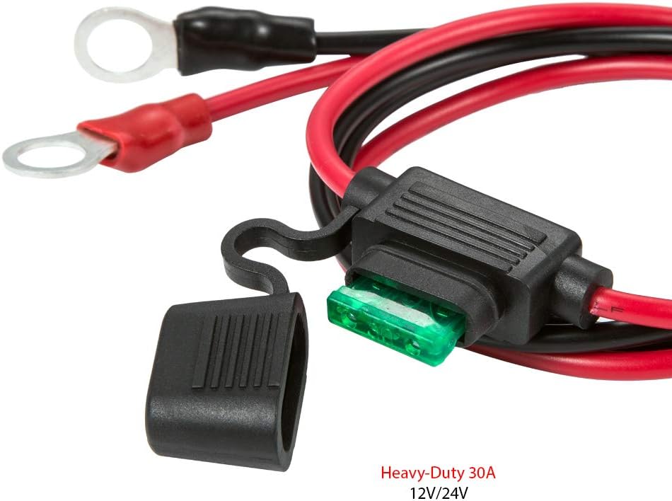 Battery Alligator Clips Clamp Clip-on to 3/8" Ring Eyelet Terminal Boost Cable Heavy Duty 30A Fuse 12V/24V 12AWG Cord 10Ft