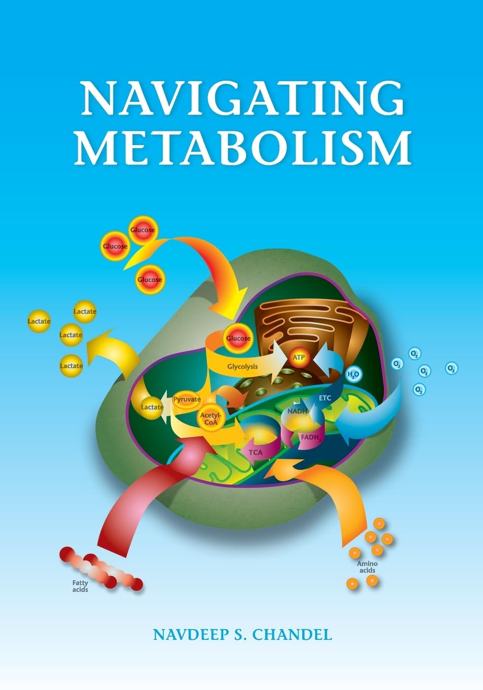 Navigating Metabolism Illustrated Edition