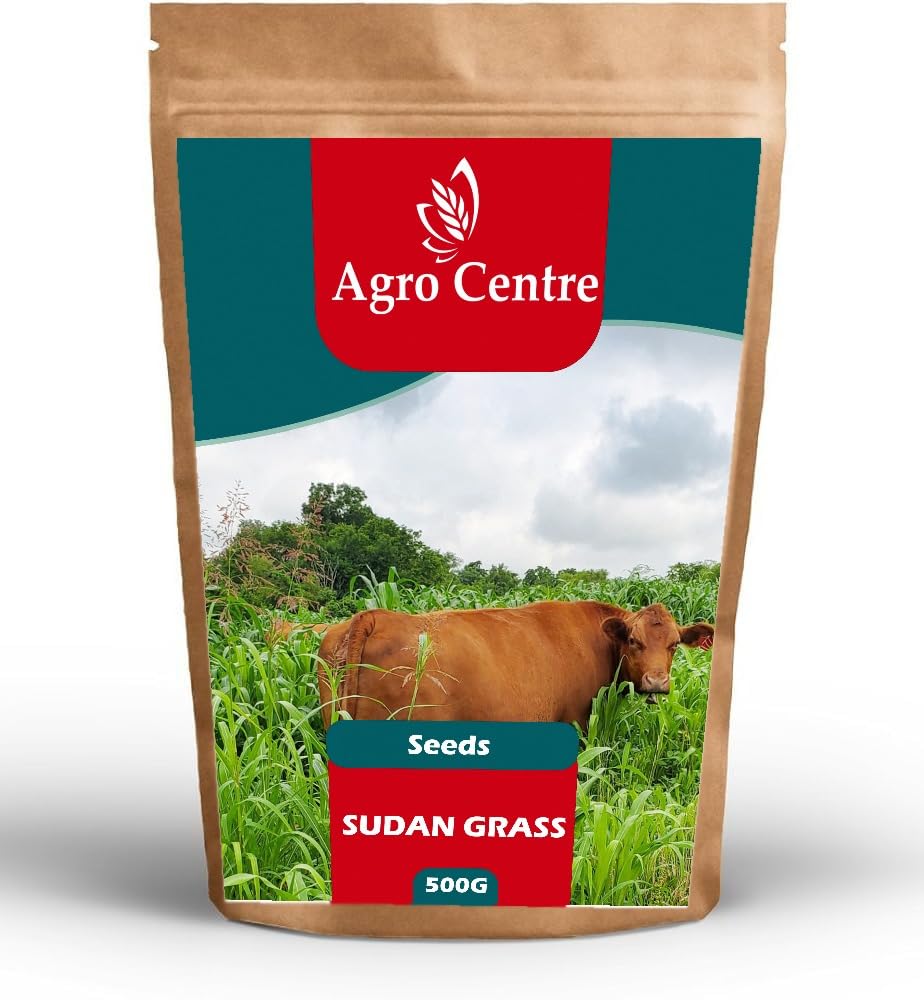 Sudan Grass Fodder grass cow | Premium quality| Multi Cut Fodder Seeds | Sorgum Jower | Fast Growing Hybrid Grass | for Fodder Cultivation | 99% germination | farmers choice | Made in Sudan | 500g