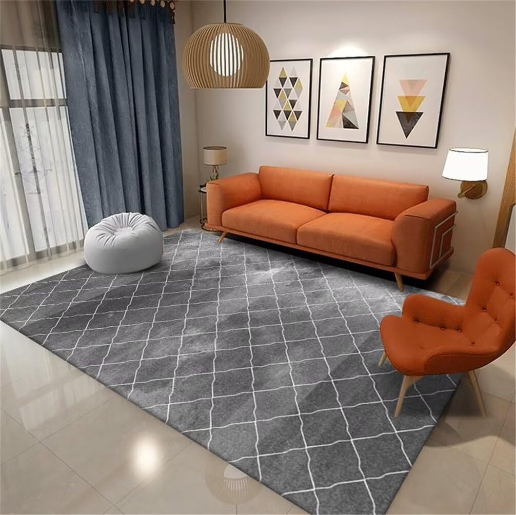 Tapis de chambre antidérapant et résistant aux taches 300x400cm