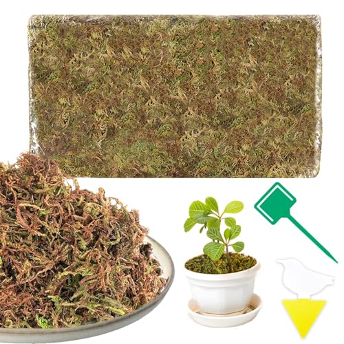 Muschio Secco 200g Muschio di Sfagno Naturale Sfagno, Fibra di Sfagno per piante Idrata e Protegge ideale per Orchidee Bonsai e Carnivore, Sfagno per orchidee professionale