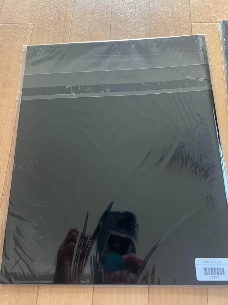 Amazon.co.jp: WANDS ライブフォトブック : 文房具・オフィス用品