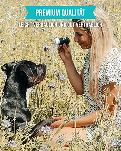 Tales & Tails Schleckertubenpaket Fisch Mix | Futtertube Für Hunde zum Befüllen | 6X 100g Nassfutter | Ideales Hundetraining | Wiederverwendbare Tube