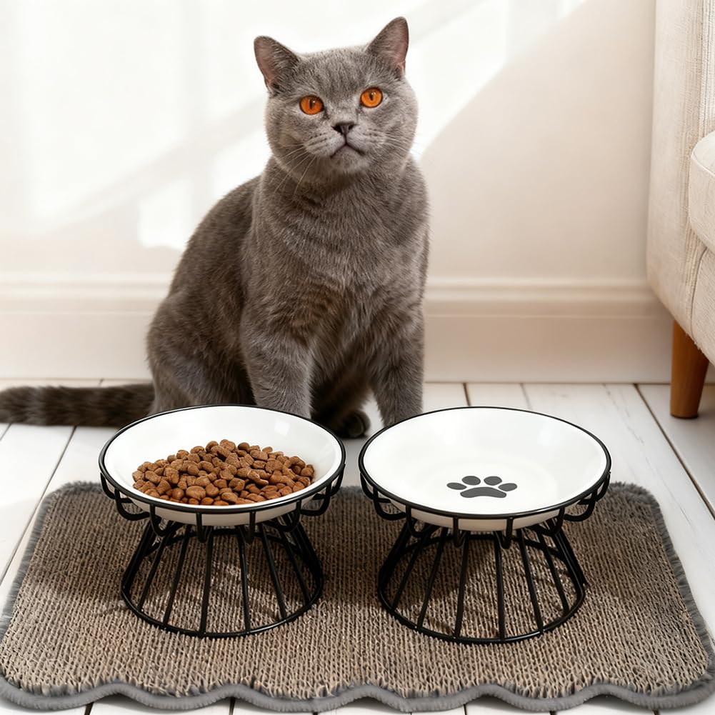 Ciotola per gatti rialzata ceramica 2 pezzi, piatta per cibo gatto
