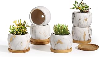 T4U Ceramic Succulent Pots 2.5 Inch Round Marbleize Set of 6 with Trays, White and Gold Modern Small Succulent Planter with Drainage, Porcelain Herbs Cactus Container for Home and Office Decor