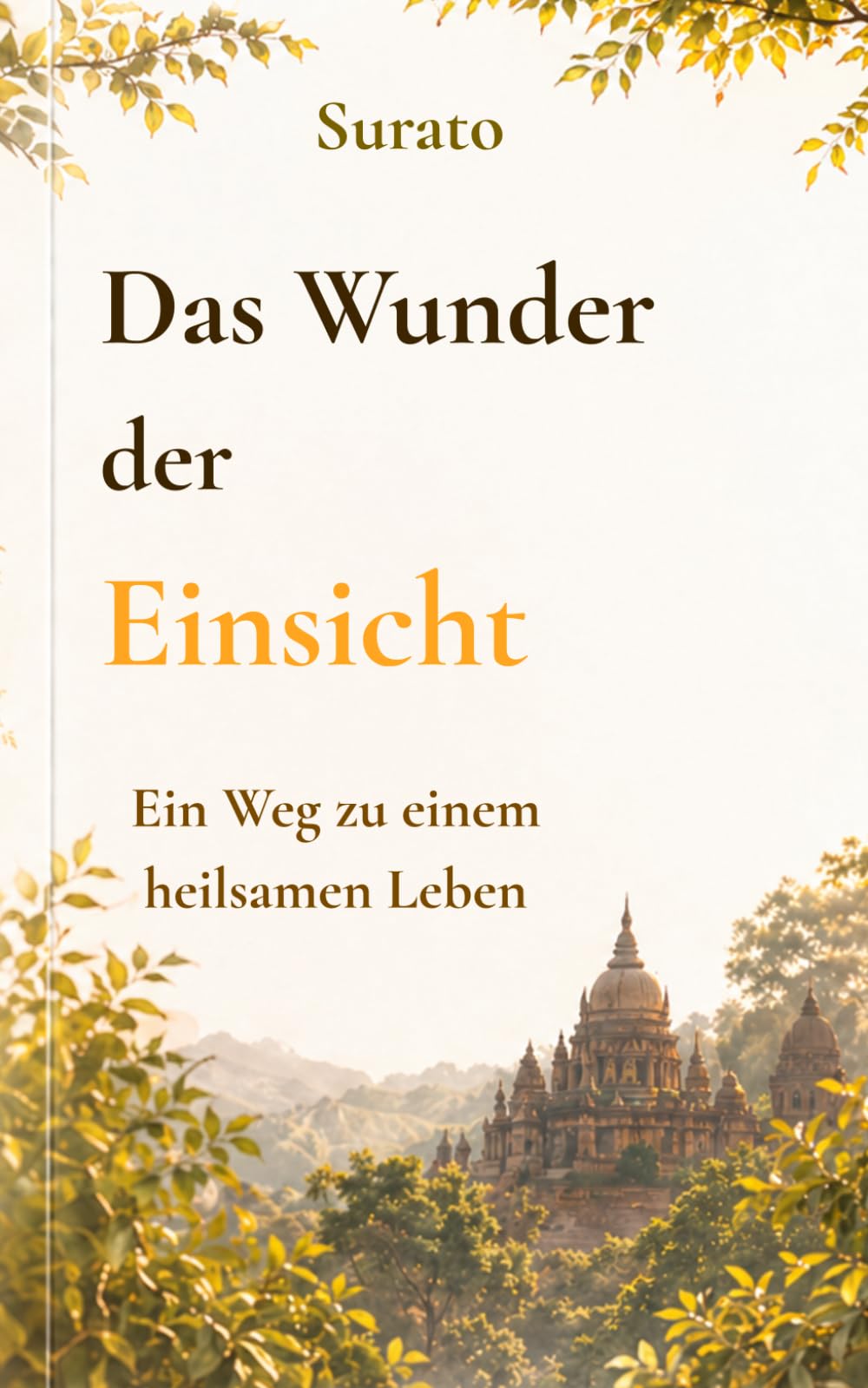 Das Wunder der Einsicht: Ein Weg, das eigene Leben in eine heilsame Richtung zu führen