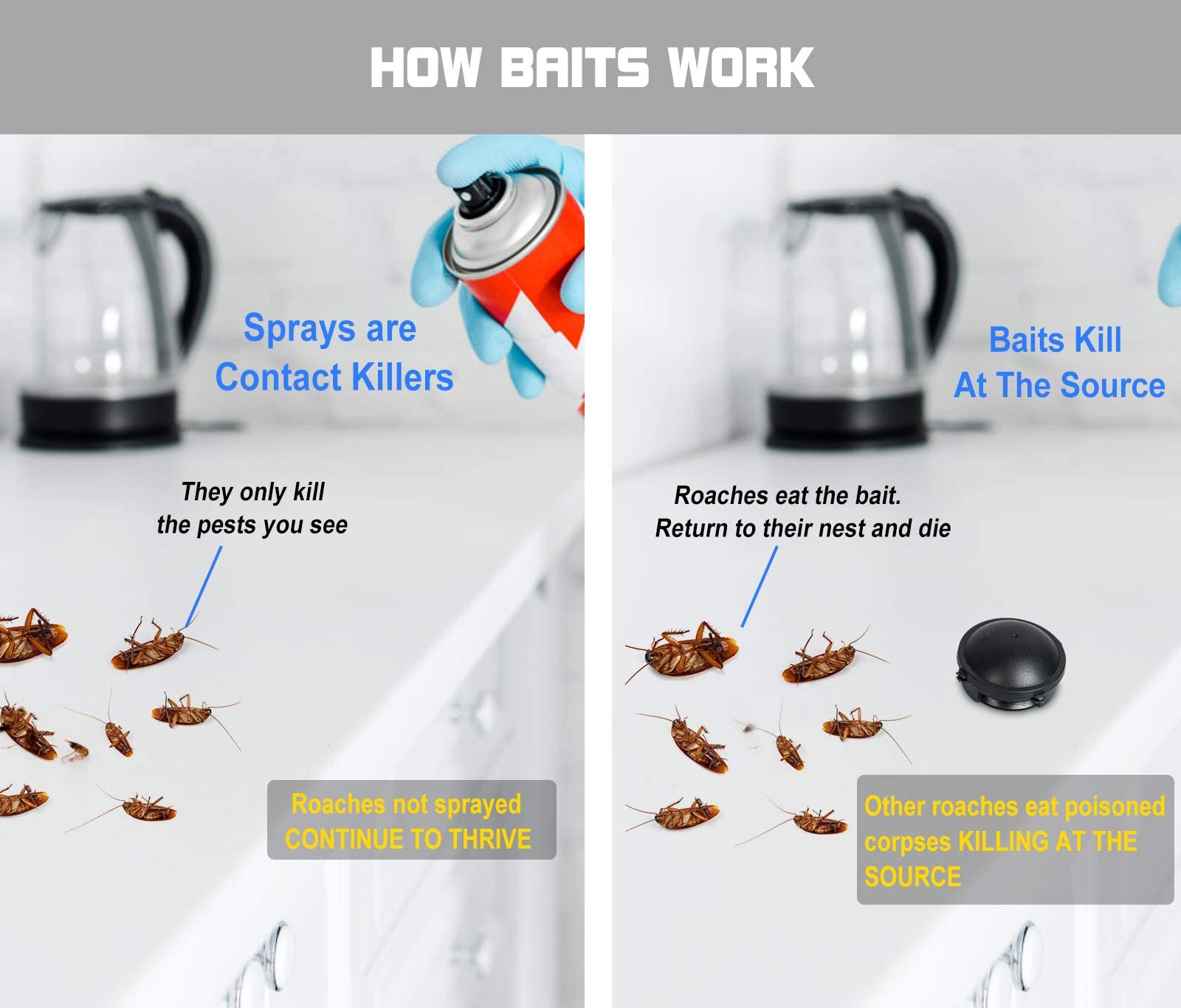 Buy 12 Pack Cockroach Killer Indoor Home Roach Bait Stations, Small