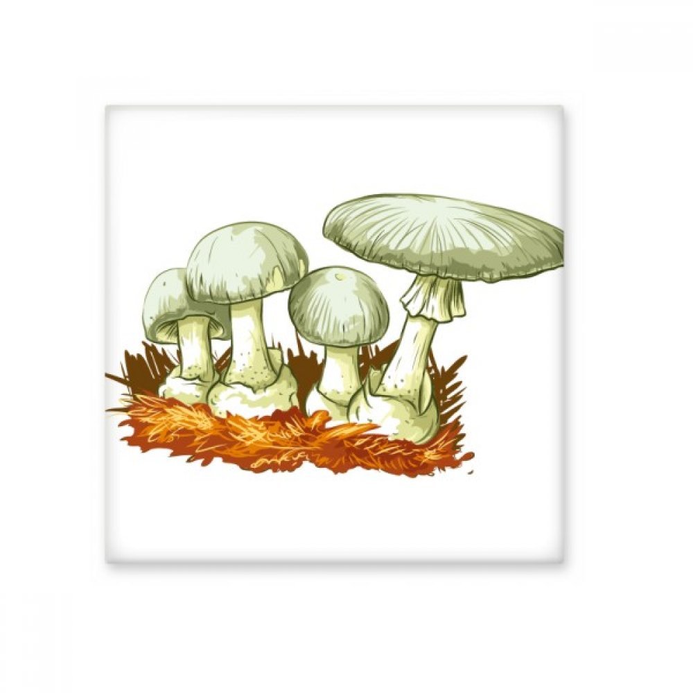 Carreau de céramique champignon DIYthinker faïence déco cuisine