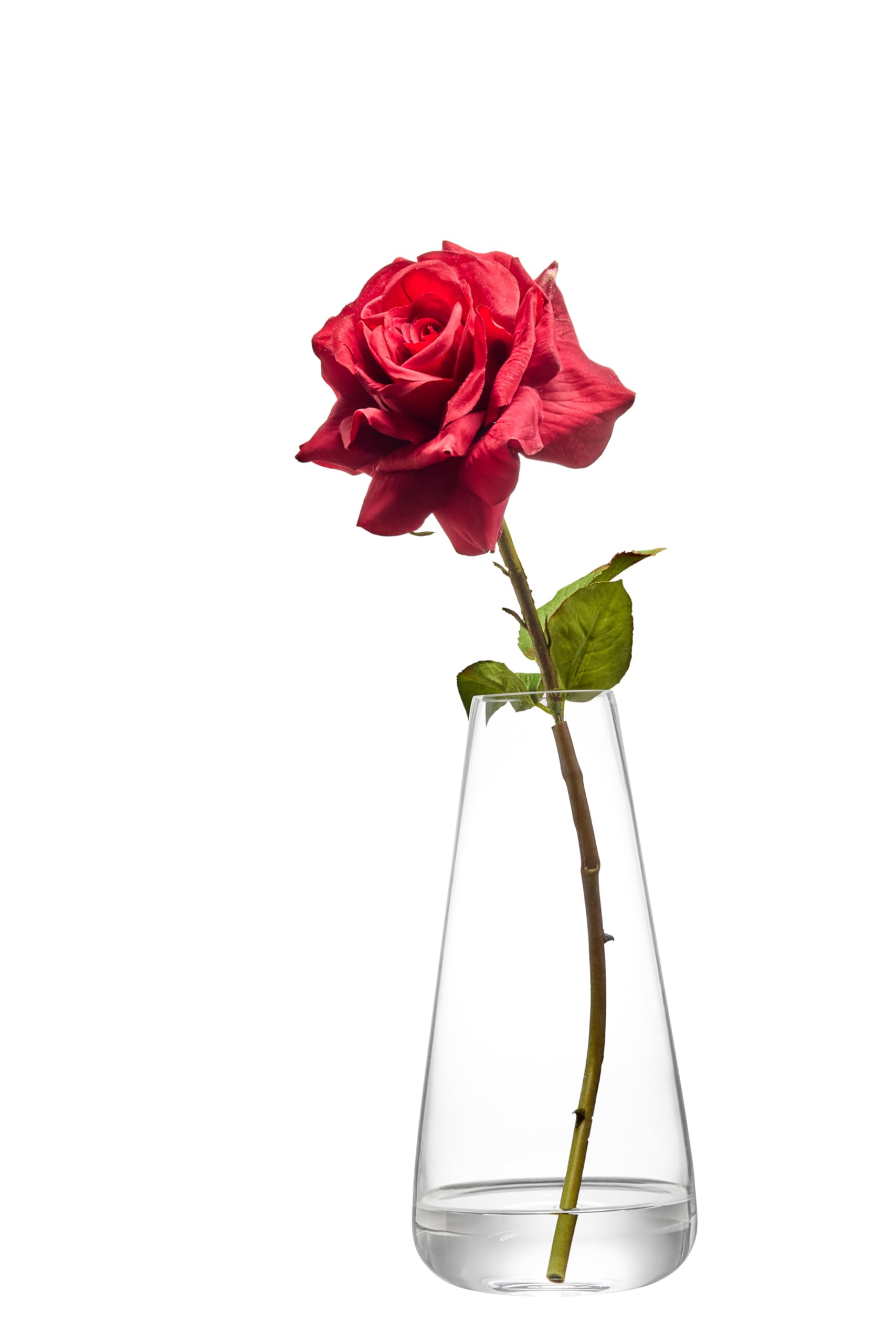 Anton Studio Designs York Handcrafted Traditional Decorative Glass Flower Vase, 24.5 cm, Clear, Housewarming or Wedding Gift