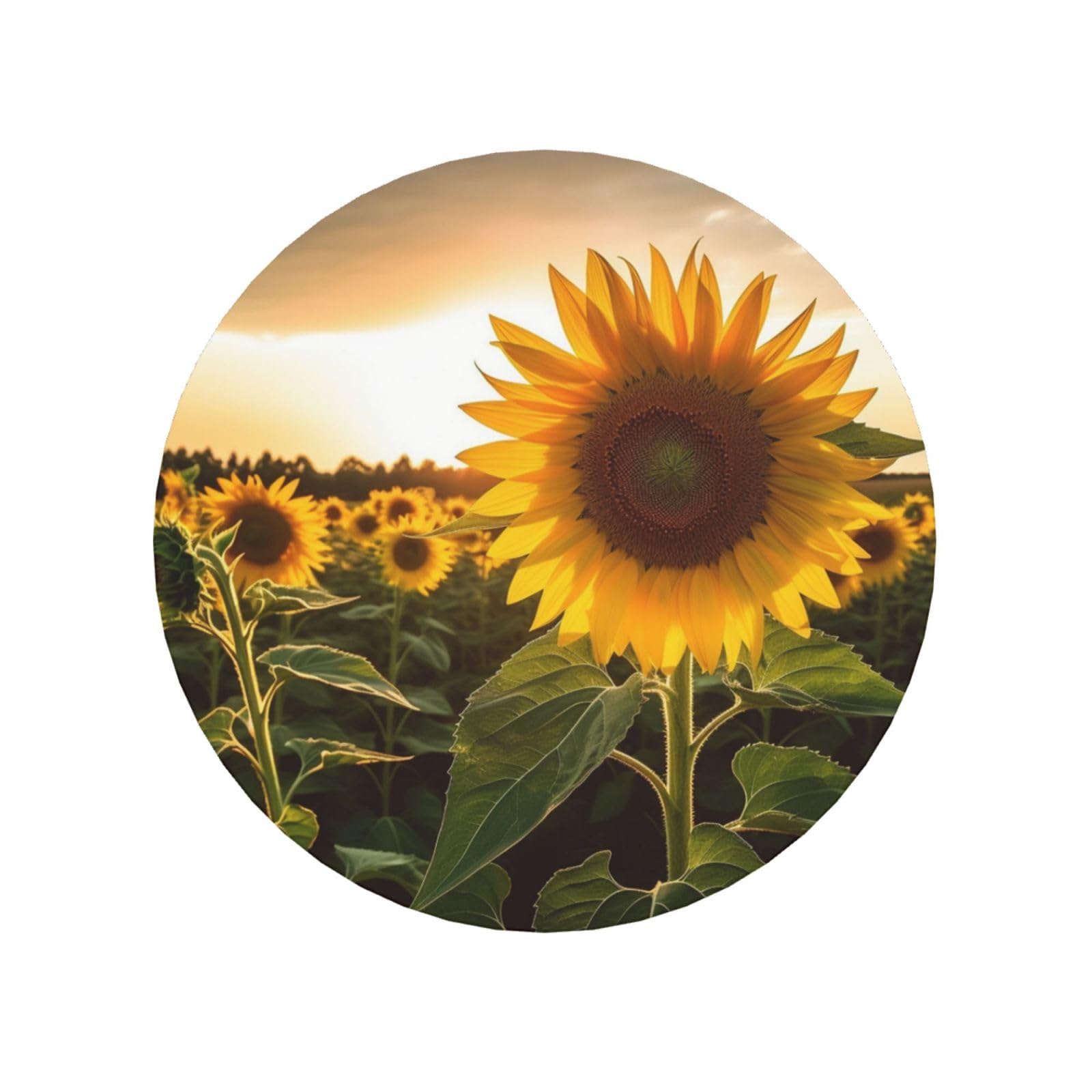 Sunflowers Fridge Magnets Small Strong Refrigerator Magnets Cute Decorative Magnets Fridge Sticker Office Magnets for Fridge, Whiteboard, Kitchen Accessories