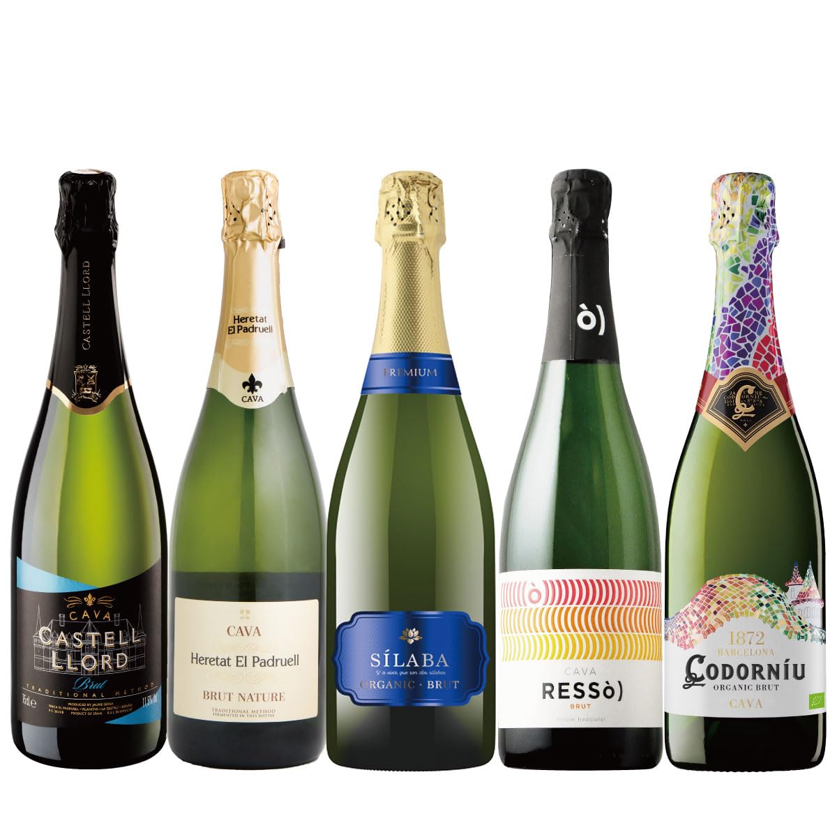 Amazon.co.jp: スパークリングワイン 辛口 5本セット！ 「瓶内二次発酵