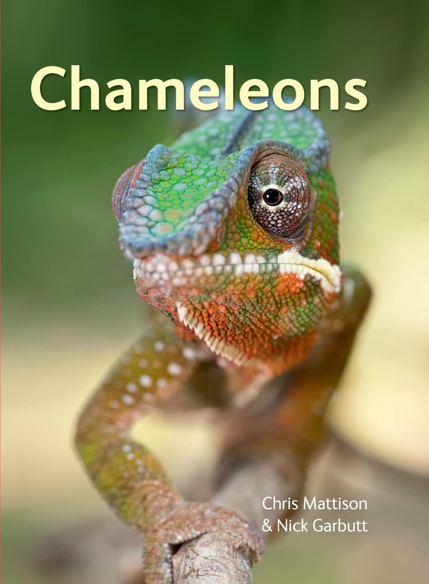 Chameleons Hardcover – June 14, 2012