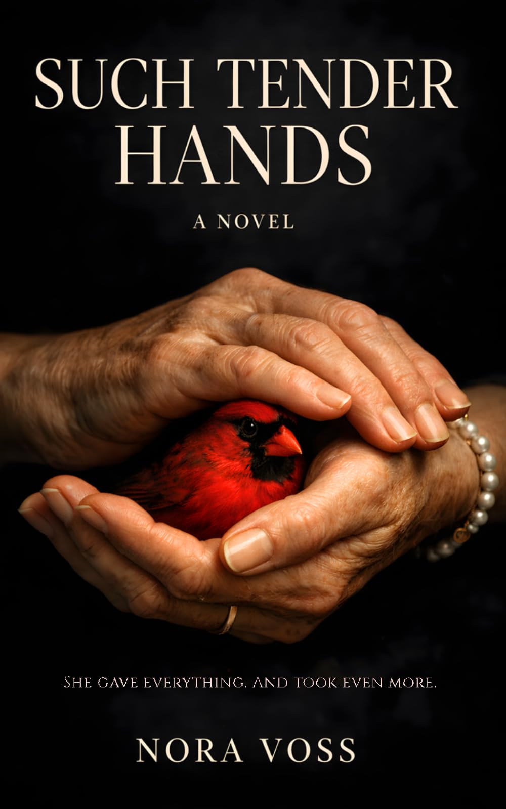 Such Tender Hands: A Domestic Psychological Thriller (The Nora Voss Domestic Thriller Collection)