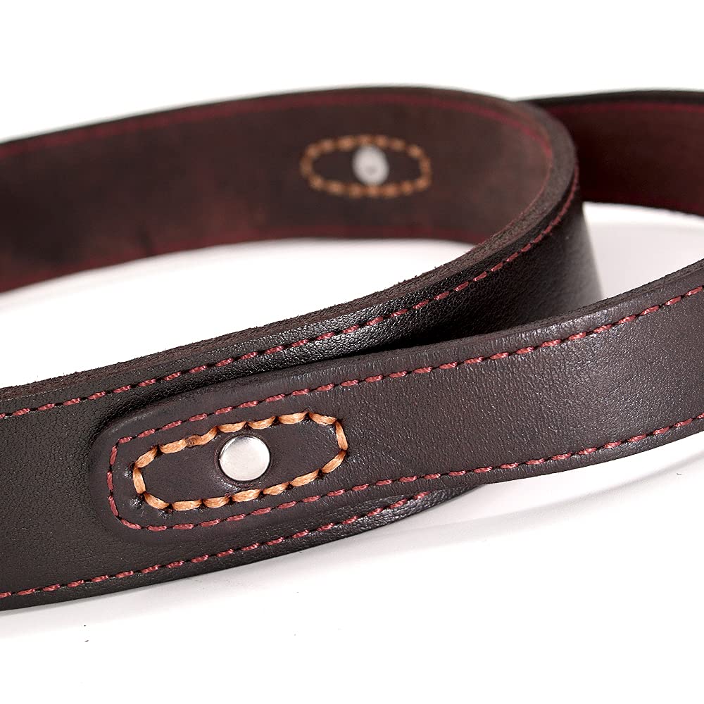 PET ARTIST Collar de perro de cuero genuino con asa resistente para perros medianos y grandes y entrenadores Boxer Doberman Pitbull Bulldog
