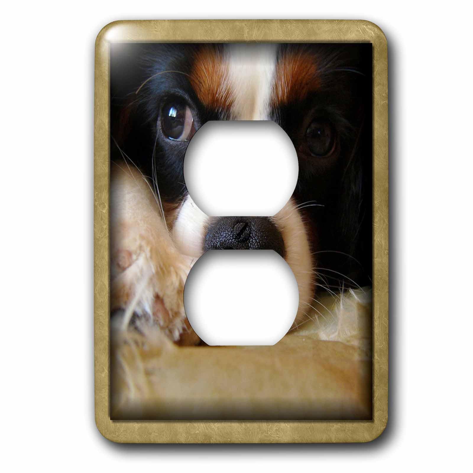 Housse protection chiot King Charles 3dRose contre l'usure murale