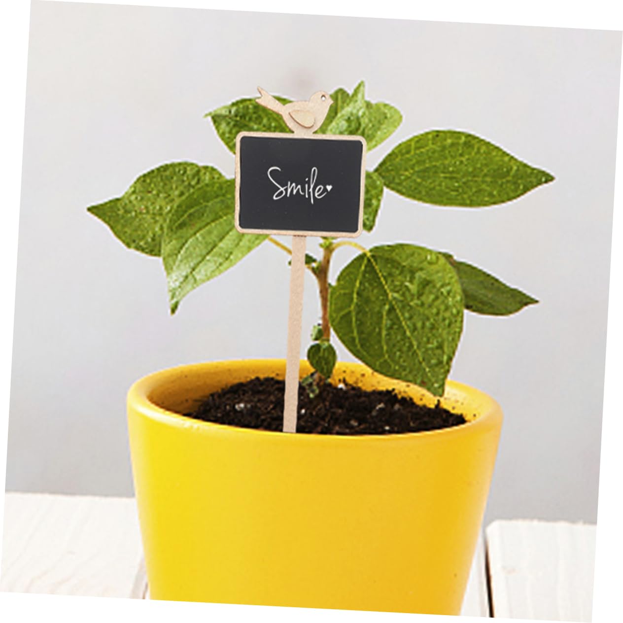 ibasenice 4 ensembles Mini-Tableau Noir Enfichable Étiquettes Pour Plantes D'Intérieur Tuteurs D'Identification Des Plantes Tuteurs D'Étiquettes De Jardin Tuteurs 10 pièces * 4