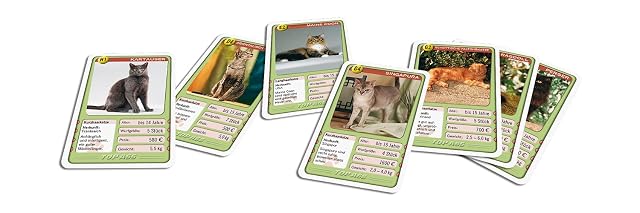 Foto 5 de 5 de Juego de cartas, 2 jugadores