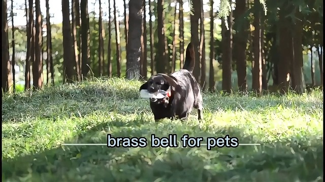 Campanellino Extra Rumoroso Per Collare Cani E Gatti - Trovapelo Con Moschettone