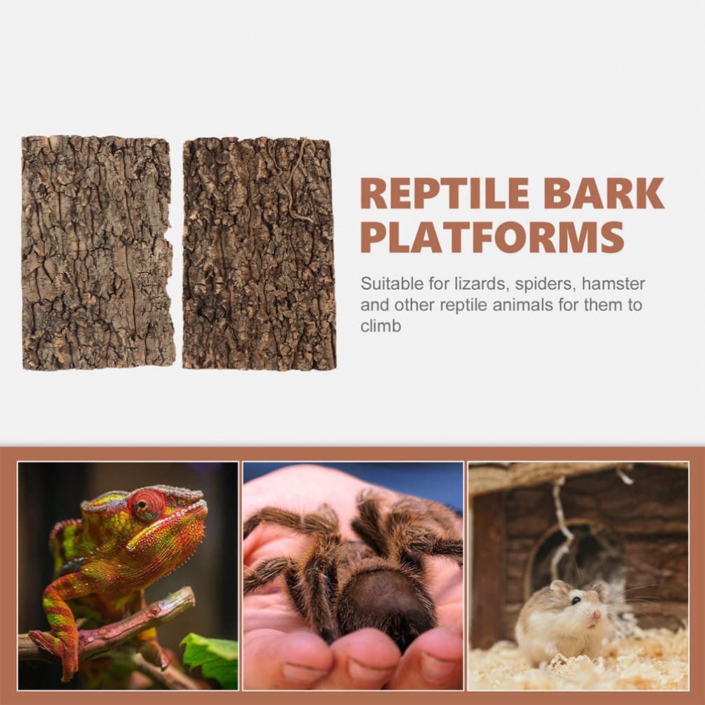 Totority Plantes décoratives en liège pour terrarium, 3 pièces de fond en liège décoratif en écorce d'arbre pour reptiles grimpants pour gecko, lézard, tortue, grenouille, dragon barbu