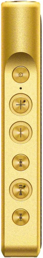 سریال امضاهای Sony NWWM1Z سلام واکرمن