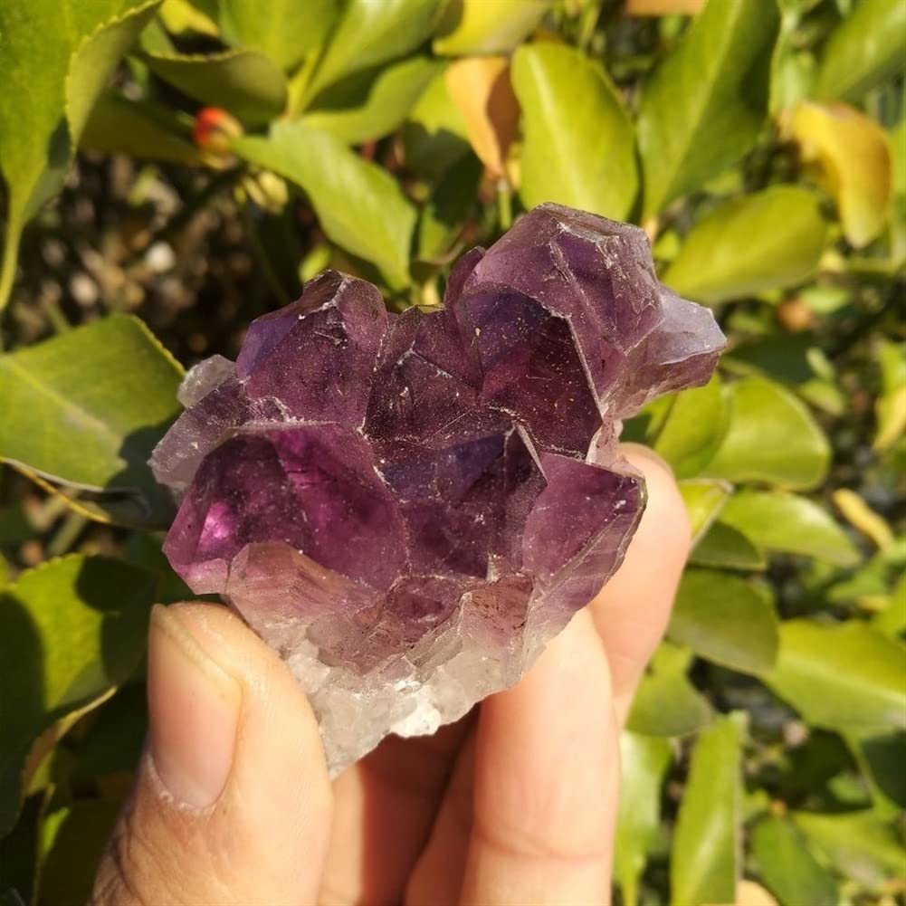 Elección de Regalos Amatista Natural Geoda Cristal Cuarzo Amatista Racimo Espécimen Piedra de vibración Inicio Colecciones