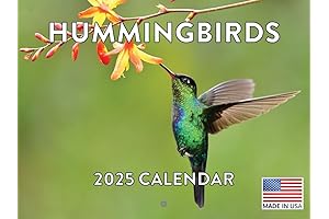 2024 Hummingbird Calendar: A Year of Beauty and Grace