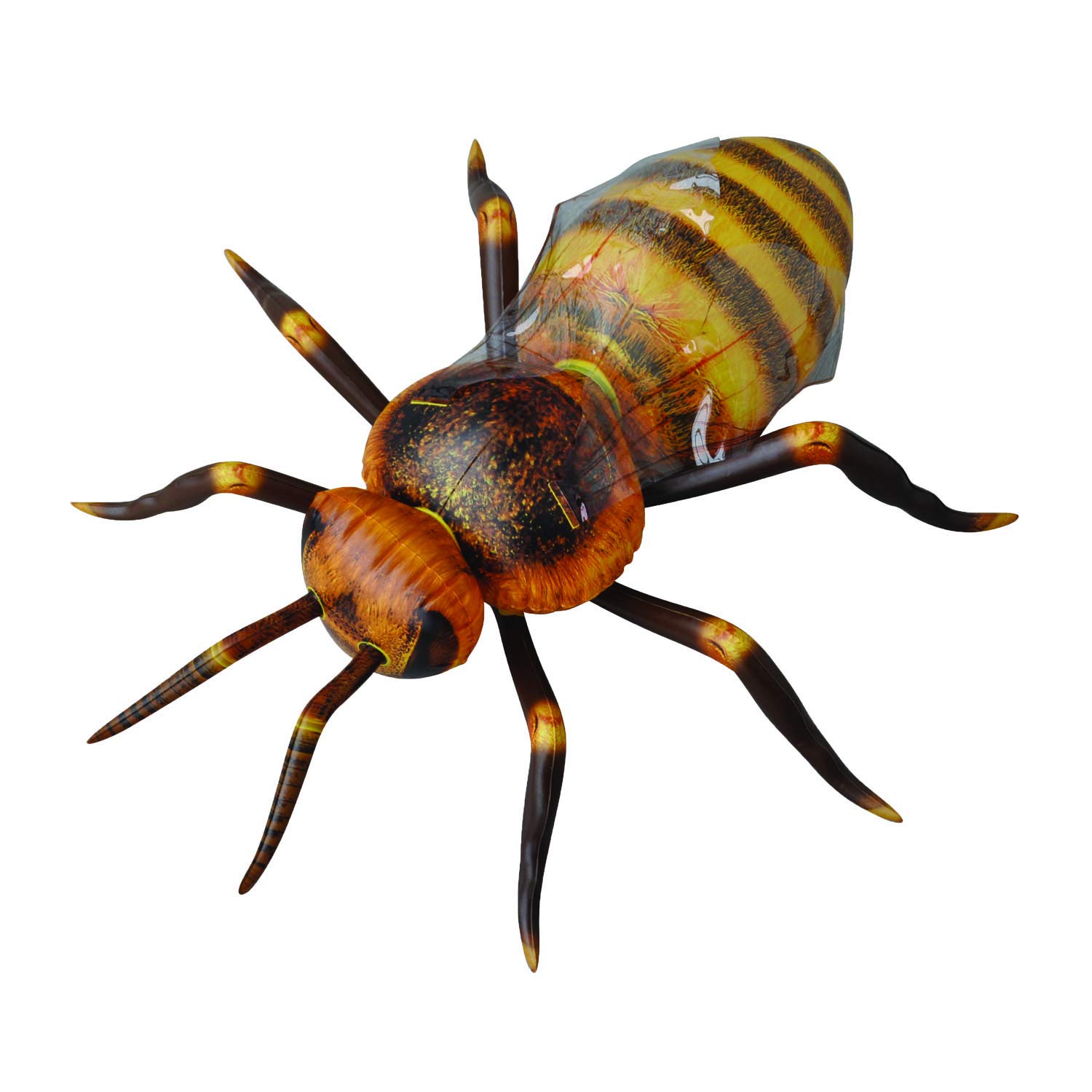 Jet Creations Inflatable Honeybee not Bumble Bee Toys Educational Decorations Gifts, from insects range