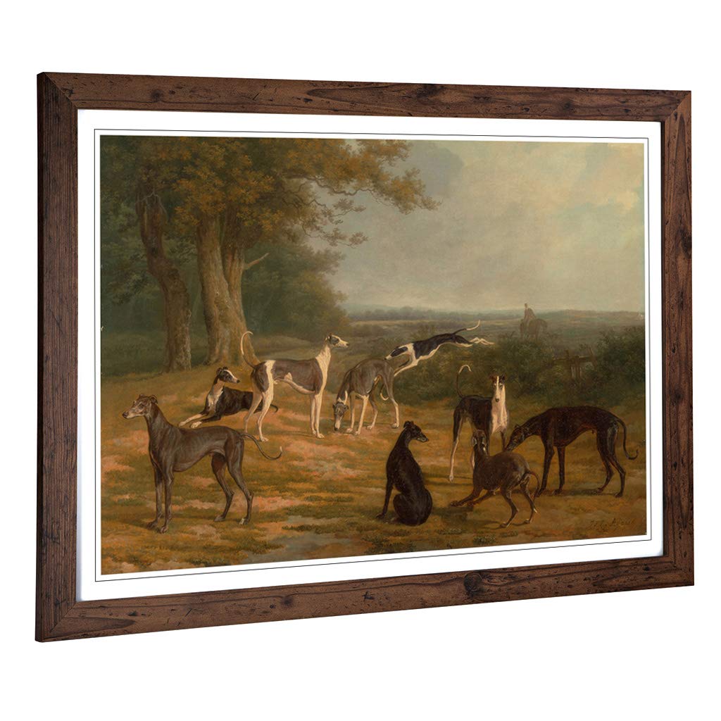Big Box Art Framed Print of Jacques-Laurent Agasse Greyhounds Design | Wall Art Picture | Home Decor for Kitchen, Living Room, Bedroom, Hallway, Walnut, A2 / 24.5x18 Inch / 62x45cm