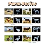 16 Animal X-Ray Set, Educational Science Kit for Kids to Explore Bone Structures for Lightstand Accessories, Light and Shadow Areas (Farm Collection)