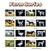 16 Animal X-Ray Set, Educational Science Kit for Kids to Explore Bone Structures for Lightstand Accessories, Light and Shadow Areas (Farm Collection)