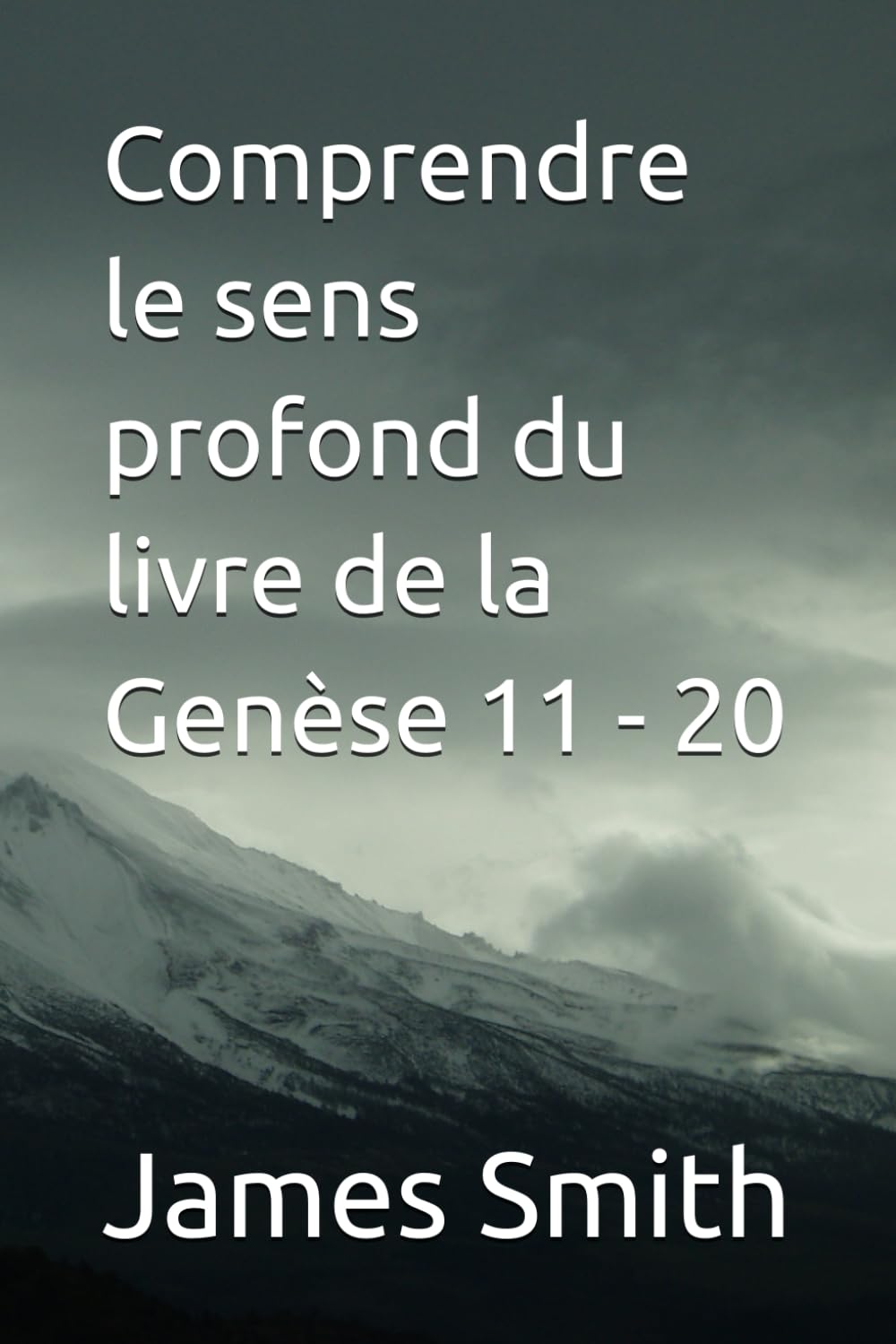 Comprendre le sens profond du livre de la Genèse 11 - 20