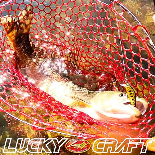 Image of LUCKY CRAFT Pointer 50SS, Super Sinking, Trout Fishing Lure, Jerkbait, Silent, Freshwater Fishing Gear, River Fishing Accessories, Lake Fishing Tackle, Rainbow, Brown, Brook