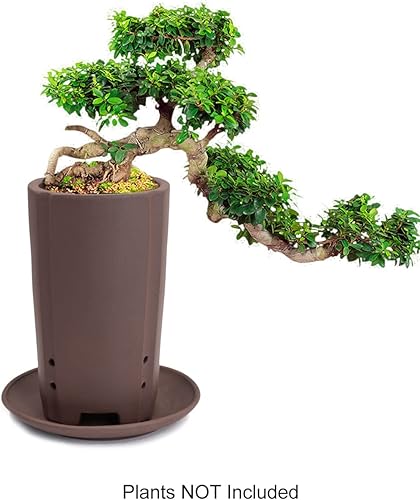 Miniatura 3 de Dahlia - Macetero de barro (zisha) para suculenta con plato para drenaje