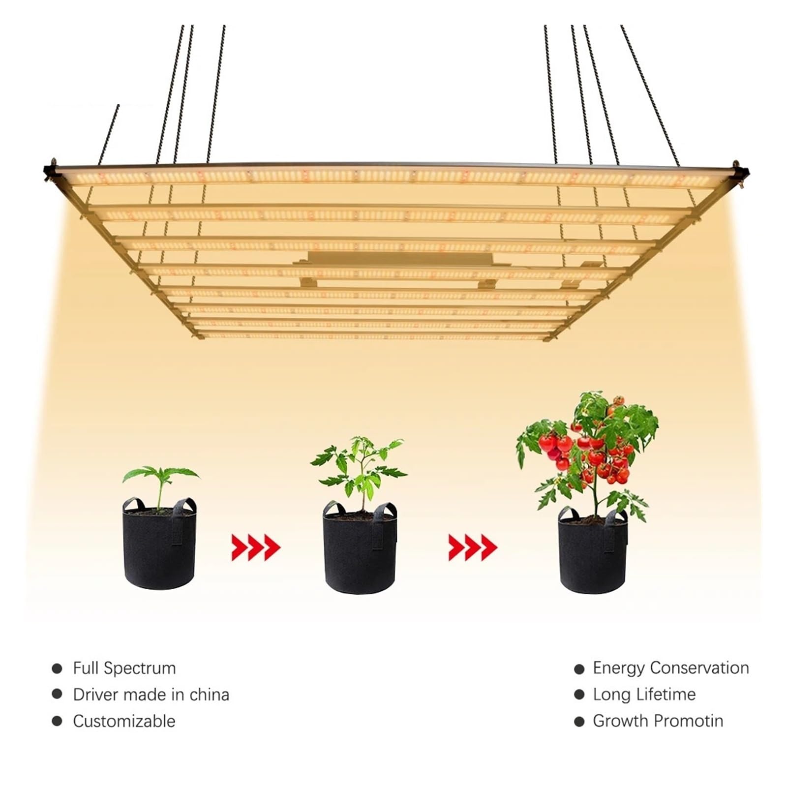 Barres lumineuses de croissance LED quantique 240/1000W, 650W, lampe Phyto, UV/IR, marche/arrêt for plantes d'intérieur, fleurs, légumes, culture hydroponique,Économie d'énergie(320W)