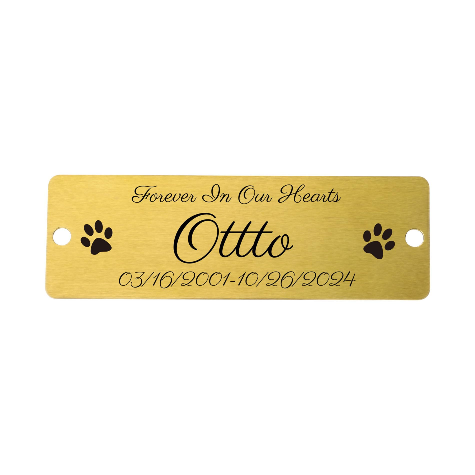 OTXIXTO Plaques Personalized Engraved Name Plates for Office Desks Door Wall Trophy Custom Metal Plate with Screws (Gold, Round Corner, 3" x 1")