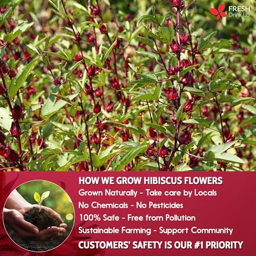 Image of 2oz Hibiscus Dried Flowers, 100% Natural, Pure from Hibiscus Flowers. Loose Flower Hibiscus Herbal Tea. Hibiscus Flower Tea. No Sugar, No Caffeine, No Gluten, Vegan.