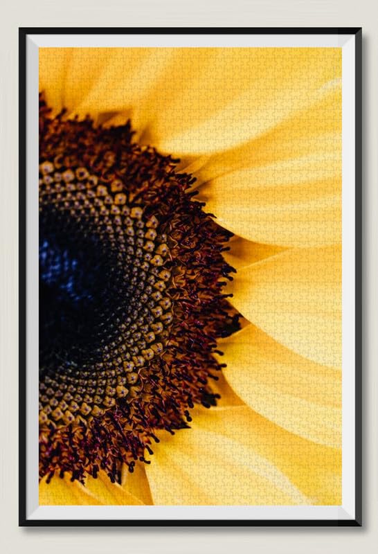 La mitad de un girasol - Rompecabezas de madera de 12000 piezas - Rompecabezas ideal para juegos familiares regalos coleccionables
