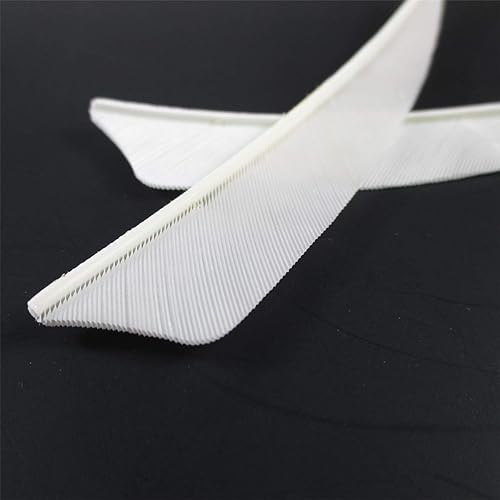 Miniatura 39 de Letszhu Paletas de pavo real de 4 pulgadas con flechas de tiro con arco para caza y tiro al blanco (paquete de 25)