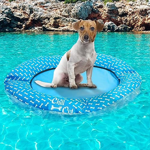 Top 10 Pool Raft For Dogs of 2022 Katynel