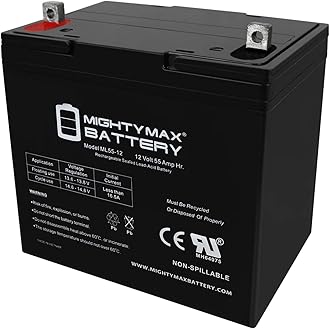 12V 55AH Battery for Golden Technologies Alante Compass TRO Power Chair
