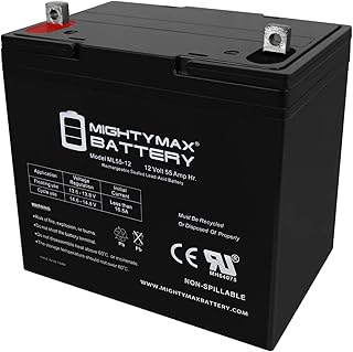 ML55-12 - 12 Volt 55 AH, Nut and Bolt (NB) Terminal, Rechargeable SLA AGM Battery