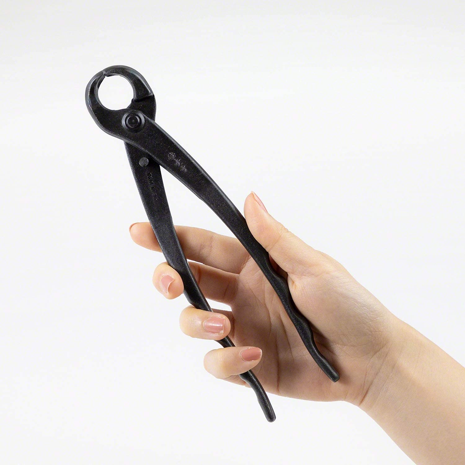 Wazakura Coupe-Boutons - Coupe-Branche de Bonsaï - Outil Jardinage Forgé à la Main au Japon - 210mm Acier Carbon Noir