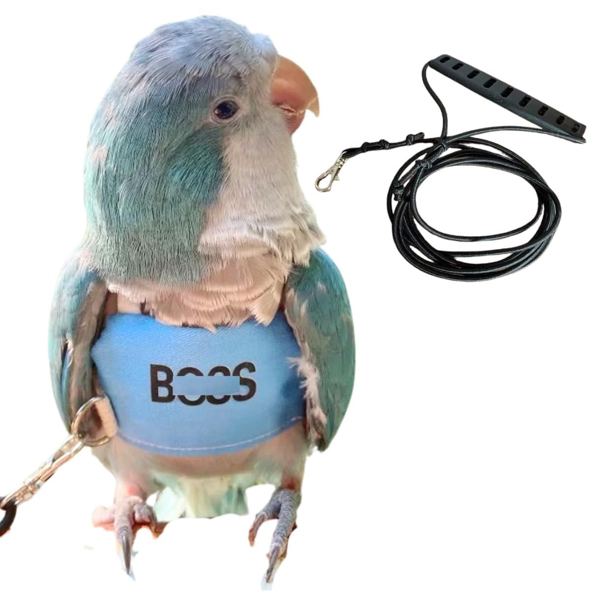Bird Flight Harness Vest, Parrot Flight Suit with Leash, Bird Flying Clothes with Rope and Handle for Outdoor Activities (2XL)