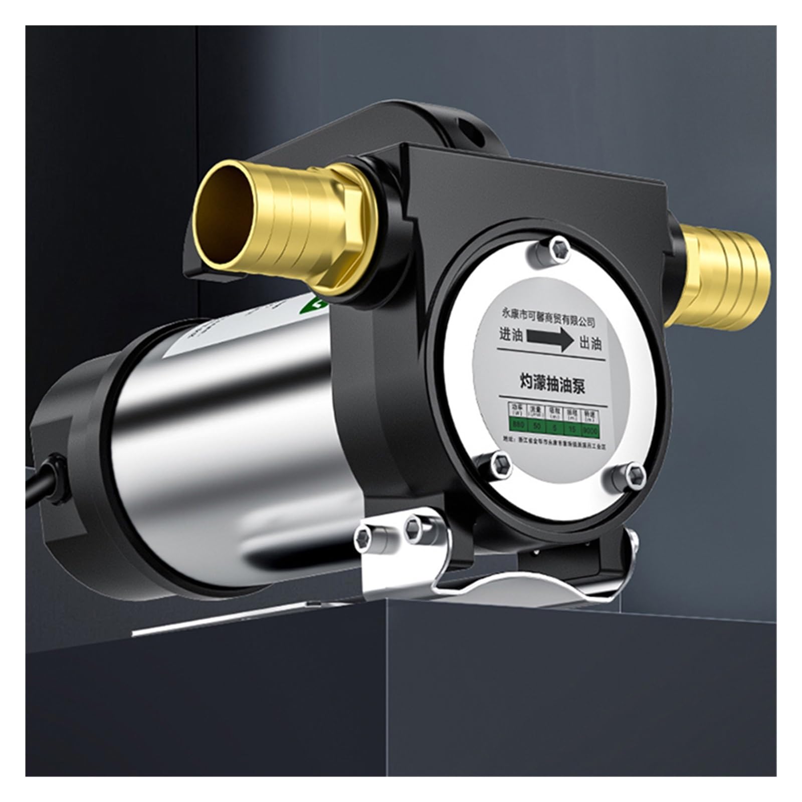 Bomba de bombeo eléctrica de avance y retroceso de 12V/24V/220, bomba autocebante de 50l/min, dispensador de combustible de bomba diésel de CC de 580W para aceite de transformador de queroseno diésel(