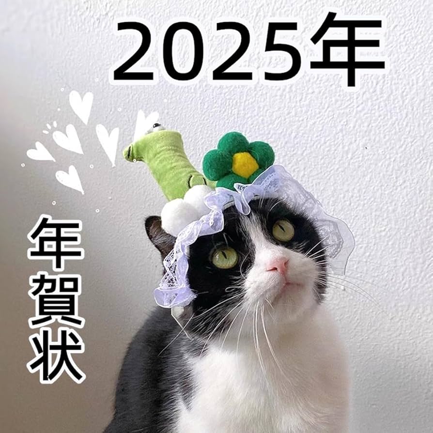 犬猫用　干支の被り物セット 犬猫用 干支の被り物セット